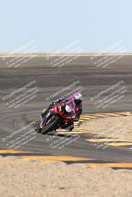 media/Mar-09-2024-SoCal Trackdays (Sat) [[bef1deb9bf]]/1-Bowl Exit (940am)/